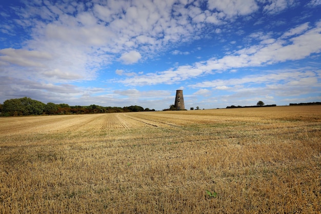 Foto vista panorámica del campo contra el cielo