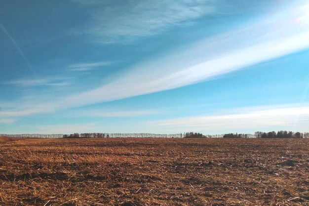 Foto vista panorámica del campo contra el cielo