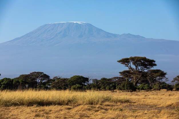 Foto vista panorámica del campo contra el cielo