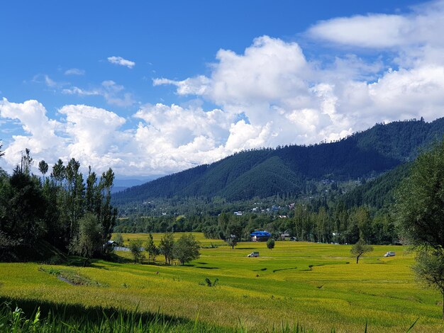 Foto vista panorámica del campo contra el cielo