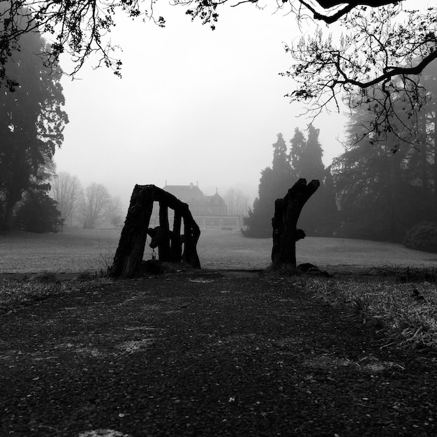 Foto vista panorámica del campo contra el cielo