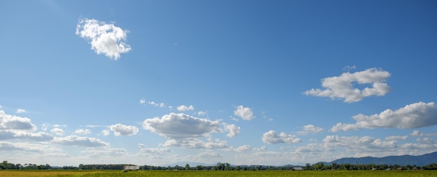 Foto vista panorámica del campo contra el cielo