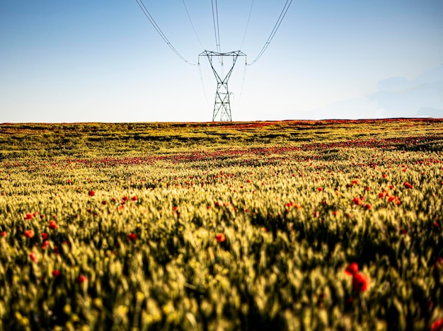 Foto vista panorámica del campo contra el cielo