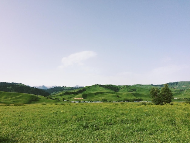 Vista panorámica del campo contra el cielo