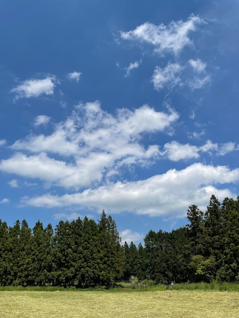 Foto vista panorámica del campo contra el cielo