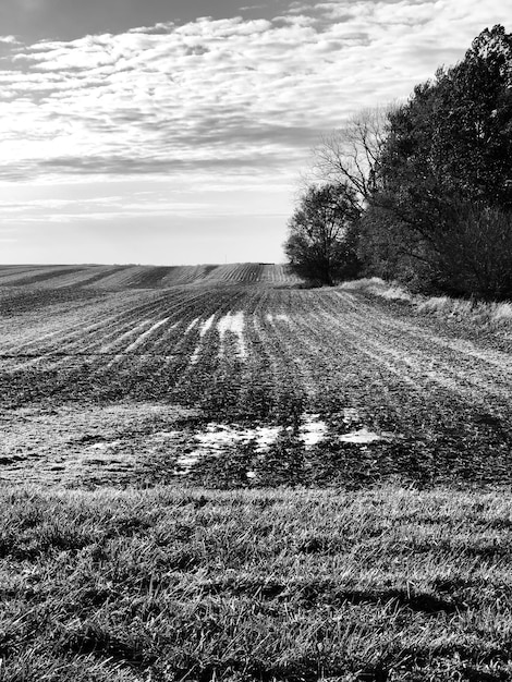 Foto vista panorámica del campo contra el cielo