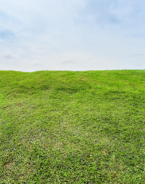 Vista panorámica del campo contra el cielo