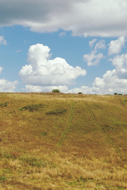 Foto vista panorámica del campo contra el cielo