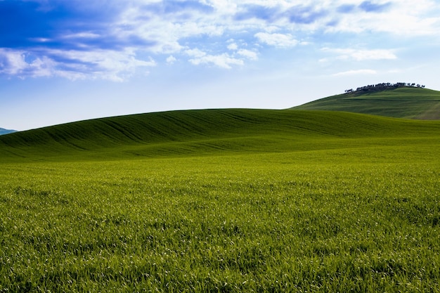 Vista panorámica del campo contra el cielo