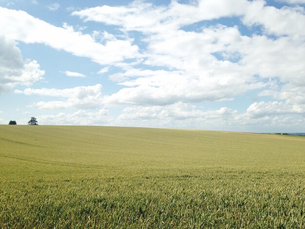 Vista panorámica del campo contra el cielo