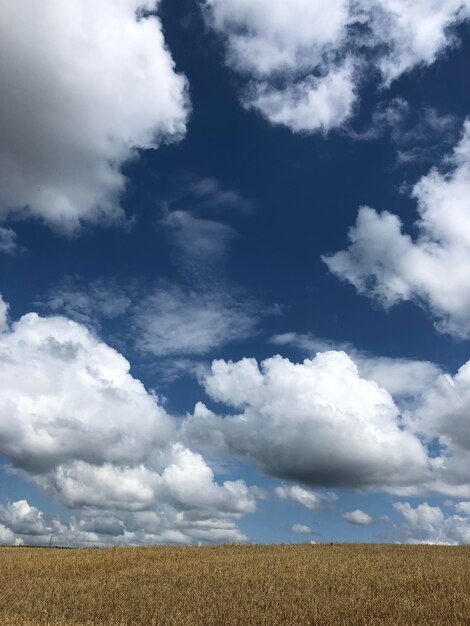 Foto vista panorámica del campo contra el cielo