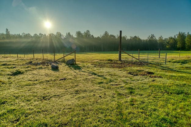 Foto vista panorámica del campo contra el cielo