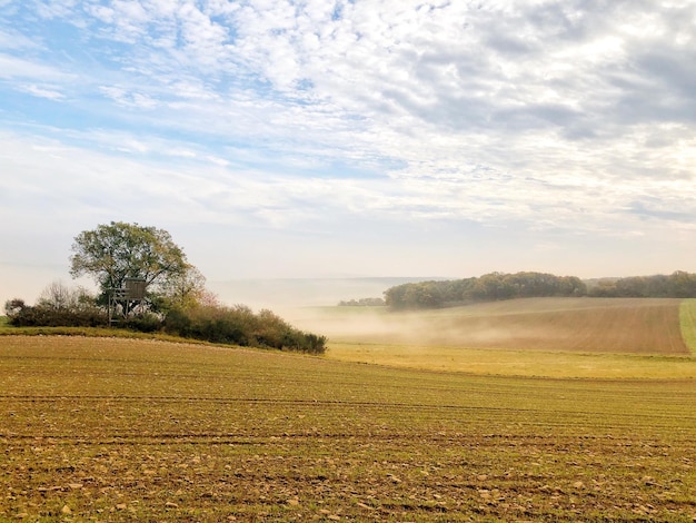 Foto vista panorámica del campo contra el cielo