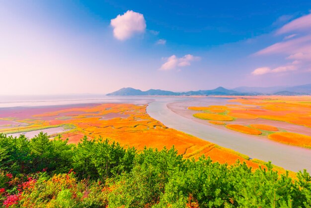 Foto vista panorámica del campo contra el cielo