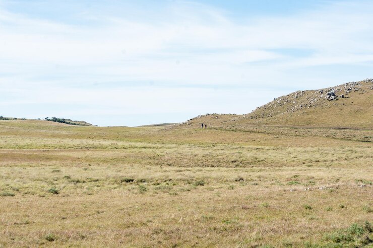 Foto vista panorámica del campo contra el cielo