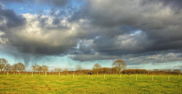 Foto vista panorámica del campo contra el cielo