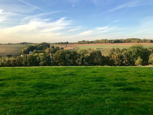 Foto vista panorámica del campo contra el cielo