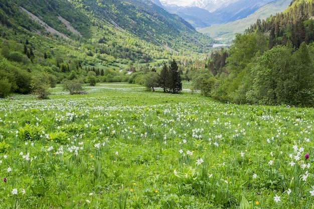 Vista panorámica del campo contra el cielo