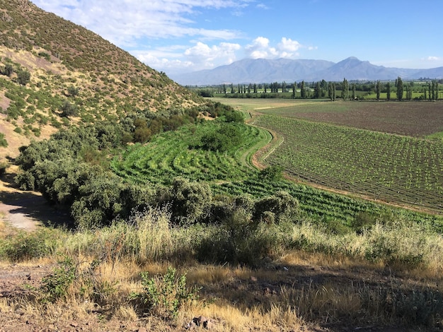 Vista panorámica del campo contra el cielo