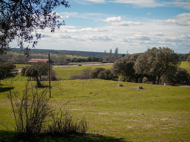 Vista panorámica del campo contra el cielo