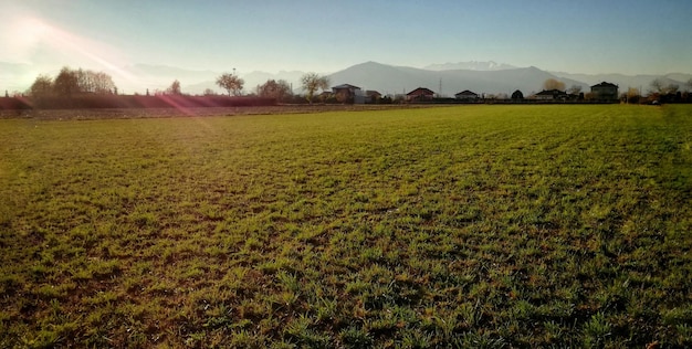 Vista panorámica del campo contra el cielo