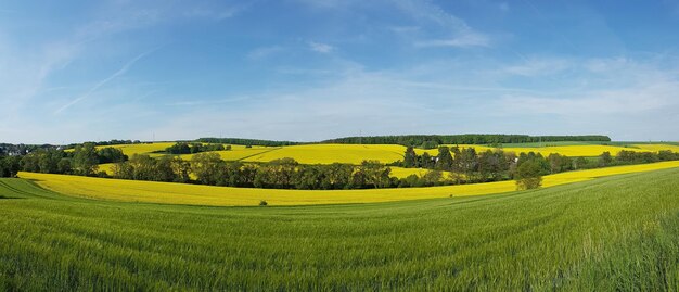 Foto vista panorámica del campo contra el cielo