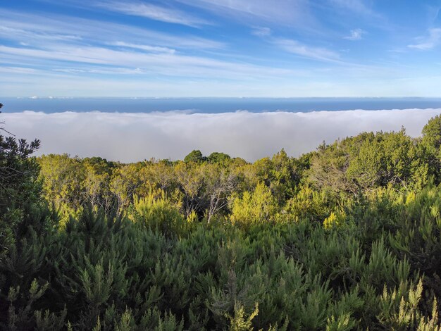 Foto vista panorámica del campo contra el cielo