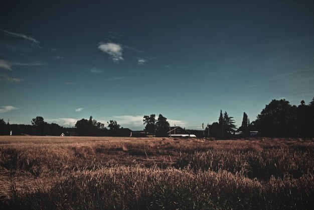 Foto vista panorámica del campo contra el cielo