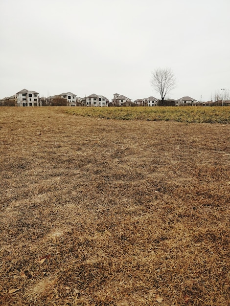 Foto vista panorámica del campo contra el cielo