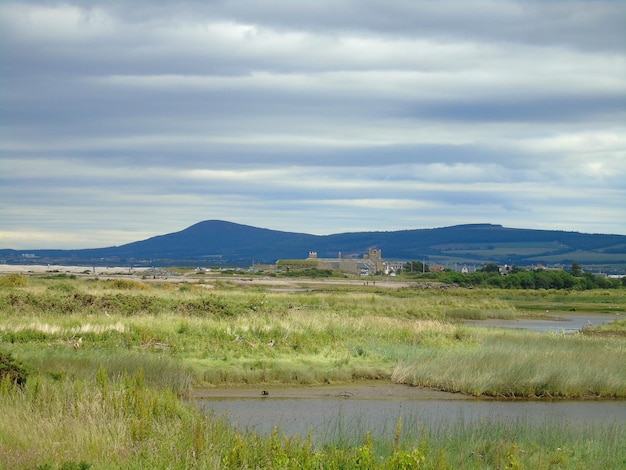 Vista panorámica del campo contra el cielo