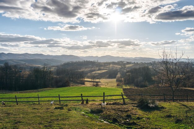 Foto vista panorámica del campo contra el cielo