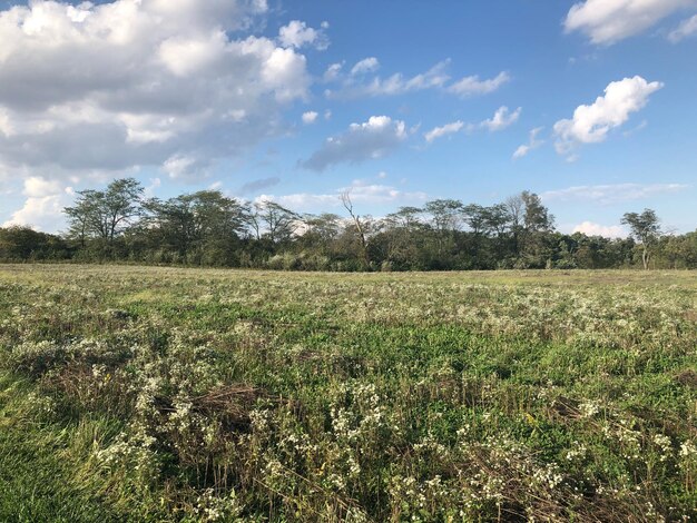 Foto vista panorámica del campo contra el cielo