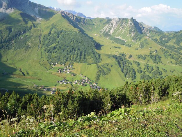 Vista panorámica del campo contra las montañas