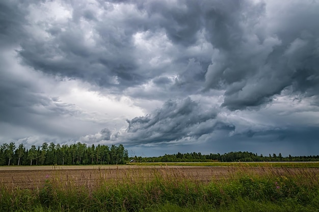 Vista panorámica del campo contra las nubes de tormenta
