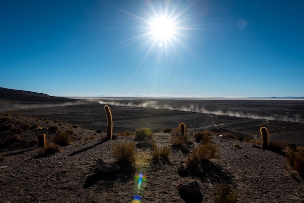 Foto vista panorámica del campo contra el sol brillante