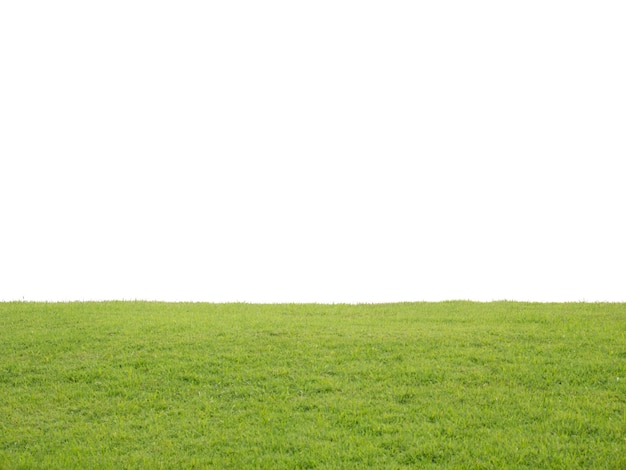 Vista panorámica de un campo cubierto de hierba contra un cielo despejado