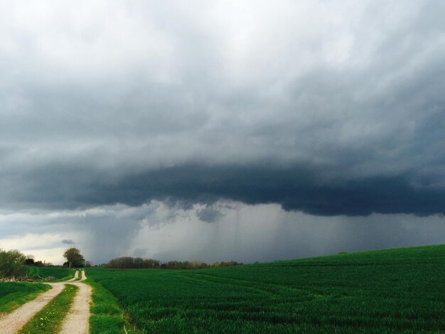 Foto vista panorámica de un campo cubierto de hierba contra un cielo nublado