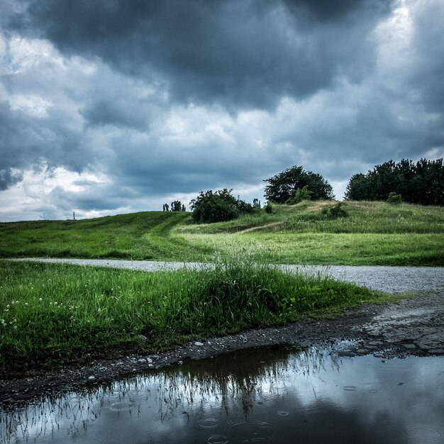 Foto vista panorámica de un campo cubierto de hierba contra un cielo nublado