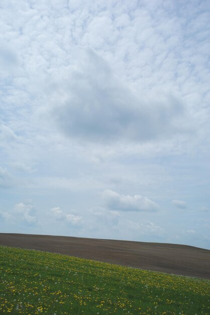 Foto vista panorámica de un campo cubierto de hierba contra un cielo nublado