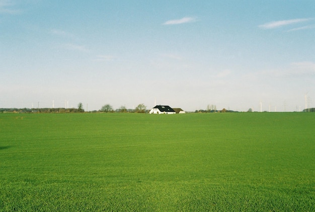 Vista panorámica de un campo cubierto de hierba contra un cielo nublado