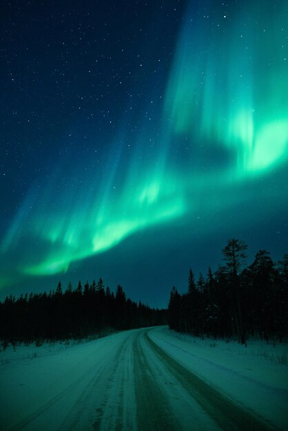 Foto vista panorámica de un campo cubierto de nieve contra el cielo nocturno