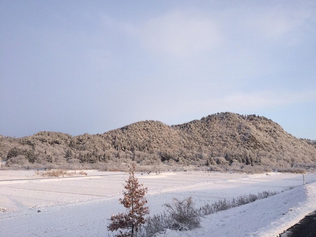 Vista panorámica de un campo cubierto de nieve contra el cielo
