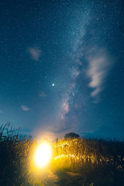 Foto vista panorámica del campo de estrellas contra el cielo por la noche