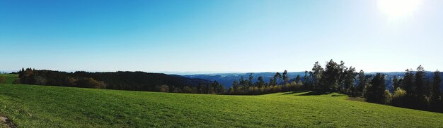 Vista panorámica de un campo de hierba contra un cielo despejado