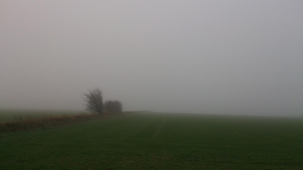 Vista panorámica de un campo de hierba contra el cielo durante el tiempo de niebla