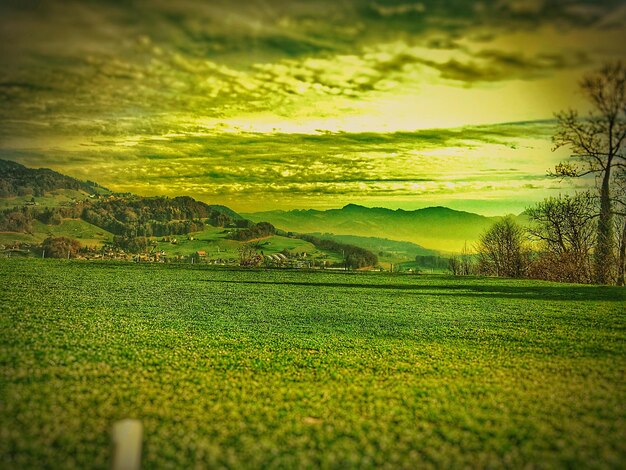 Foto vista panorámica de un campo de hierba contra el cielo