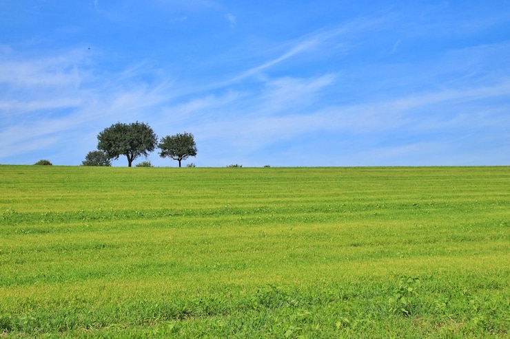 Foto vista panorámica de un campo de hierba contra el cielo