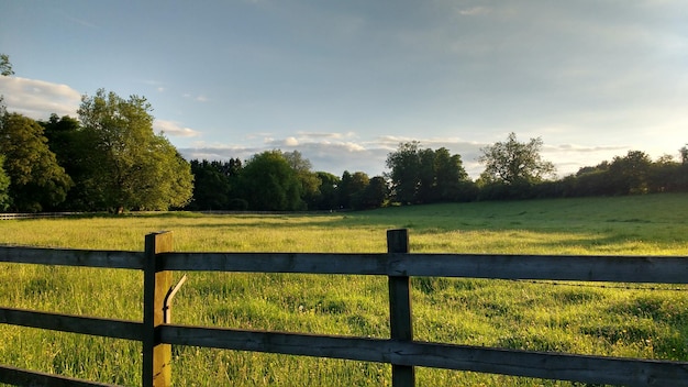 Vista panorámica de un campo de hierba contra el cielo