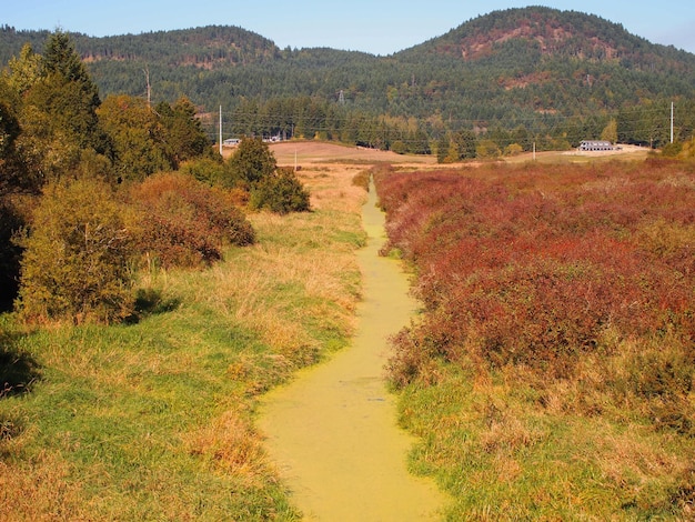 Foto vista panorámica de un campo de hierba contra las montañas