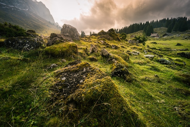 Vista panorámica del campo de hierba por la montaña en Suiza
